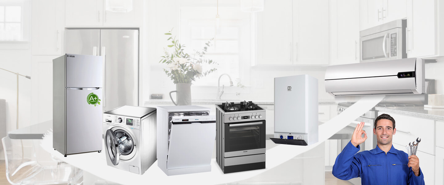 Beşiktaş Philips Servisi